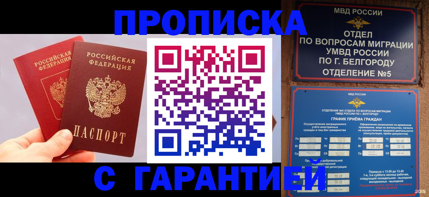 прописка 2025 в Балахне